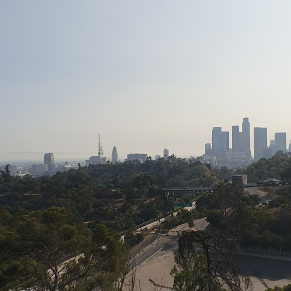 Meet your Posher, Henry - Picture 1 of 1